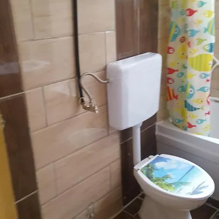 Apartament Ioana 公寓 *